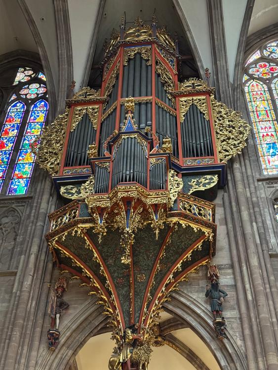 Organ